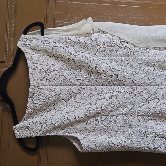 Ann Taylor-Beige lace sheath dress with chiffon overlay on right side Sz 16P - Picture 7 of 8